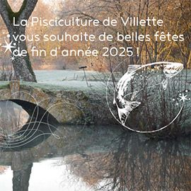 Image: 2025-12/26-12.jpg