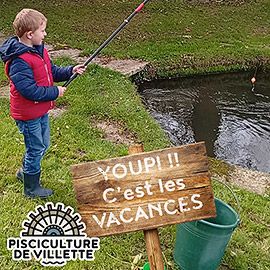 Image: 2026-02/20-02-26.jpg