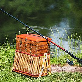 Image: 2026-02/26-02-26.jpg