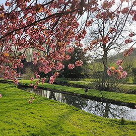 Image: 2026-04/17-04.jpg