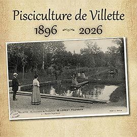 Image: 2026-09/09-09.jpg